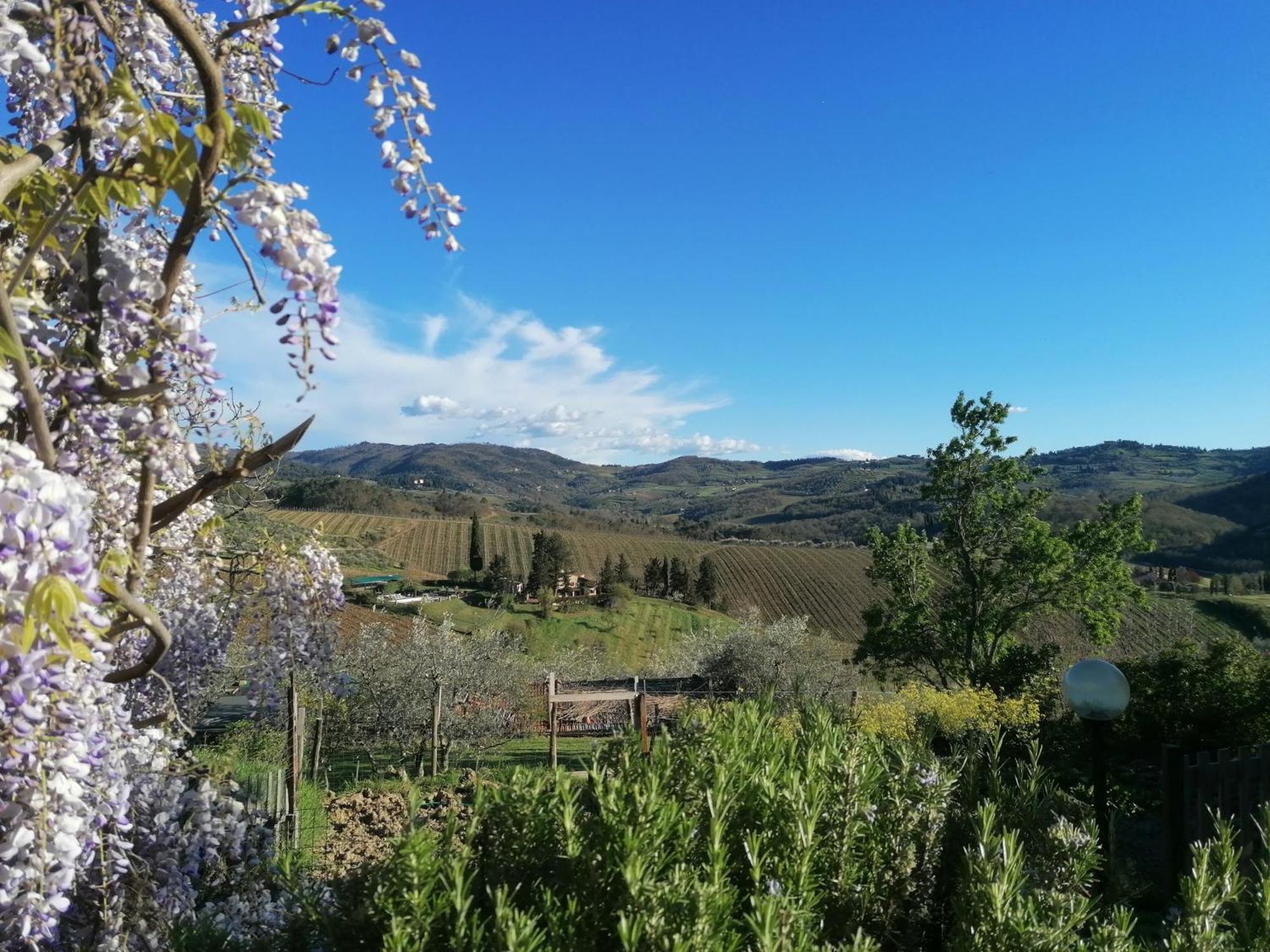 Apartamento Casa Gioia Greve in Chianti Exterior foto